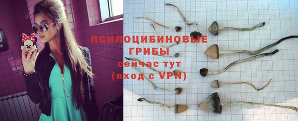 spice Алексеевка