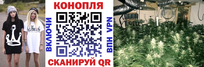 Бошки марихуана OG Kush  Арсеньев 